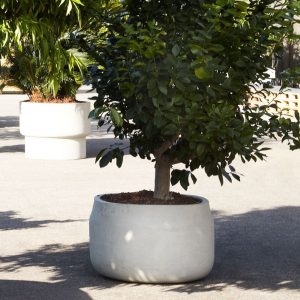 ANTONIO LUPI IGIGANTI VASE GARGANTUA